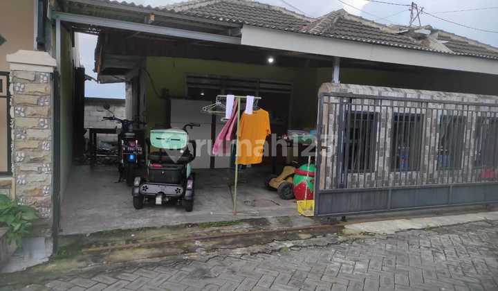 Rumah Murah di Daerah Sukodono, Lumajang
