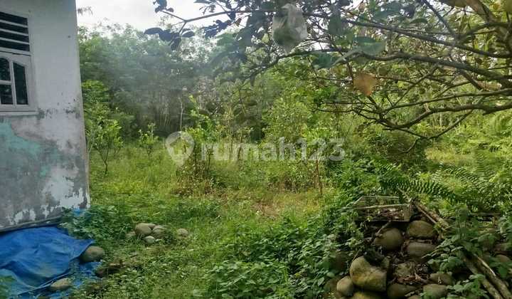 Tanah Murah di Daerah Beringin, Deli Serdang