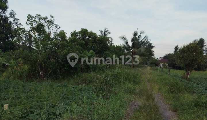 Tanah Murah di Daerah Binjai Selatan, Binjai