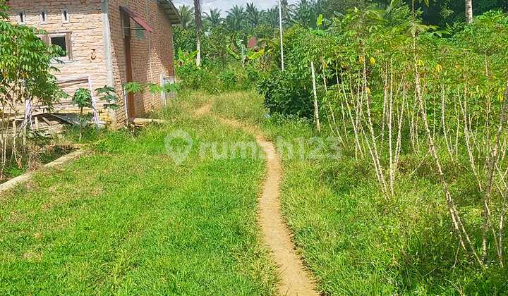 Tanah Murah di Daerah Sei Bingai, Langkat