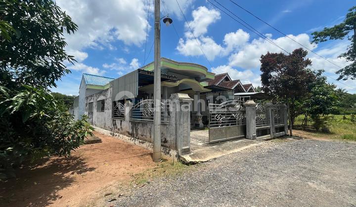 Rumah Murah di Daerah Tegineneng, Pesawaran