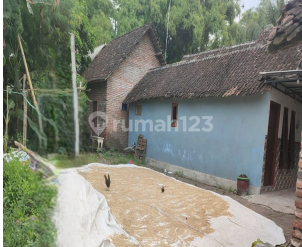 Tanah Murah di Daerah Purwosari, Pasuruan