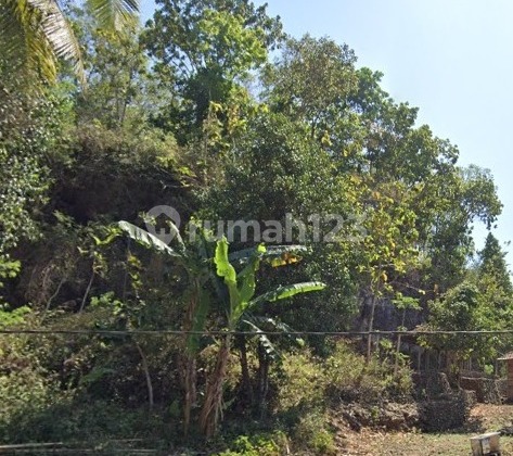 Tanah Murah di Daerah Purwosari, Gunung Kidul