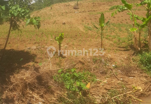 Tanah Murah di Daerah Dawe, Kabupaten Kudus