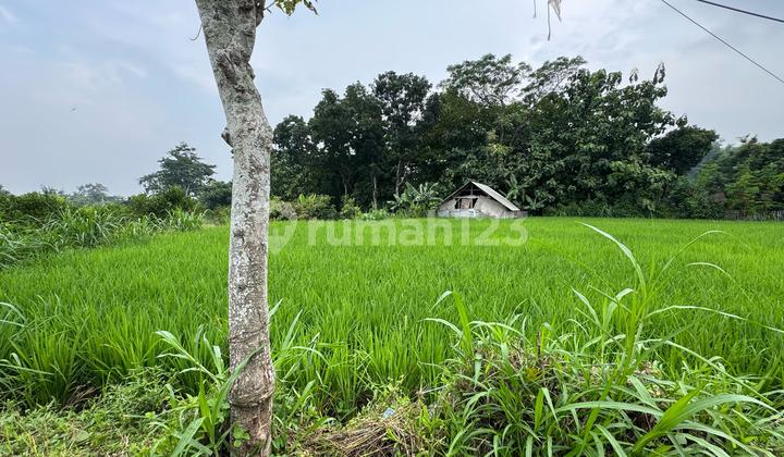 Tanah Murah di Daerah Purwosari, Gunung Kidul
