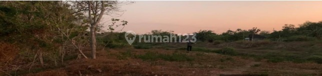 Tanah Murah di Daerah Karangrayung, Grobogan