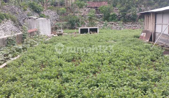 Tanah Murah di Daerah Saptosari, Gunung Kidul