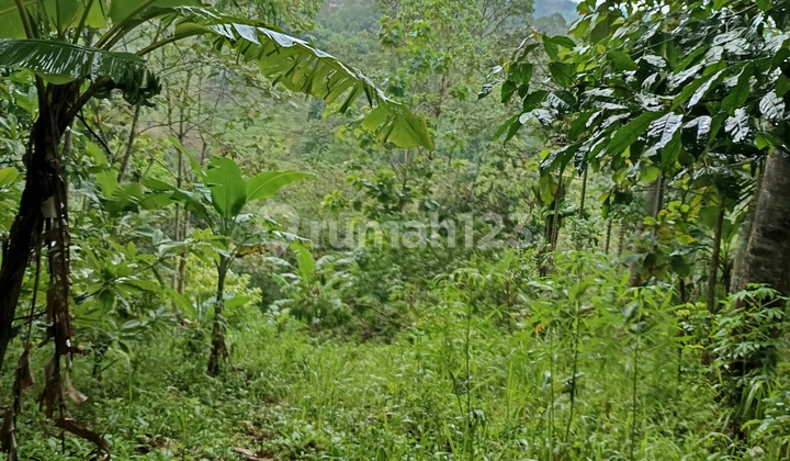 Tanah Murah di Daerah Teluk Betung Selatan, Bandar Lampung