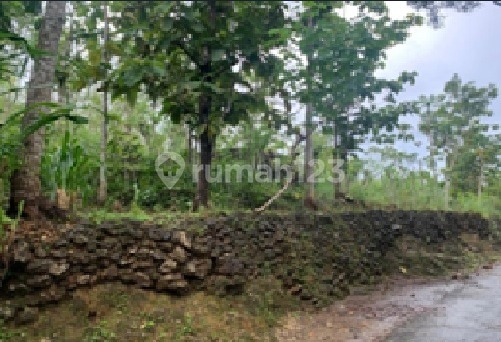 Tanah Murah di Daerah Donorojo, Pacitan