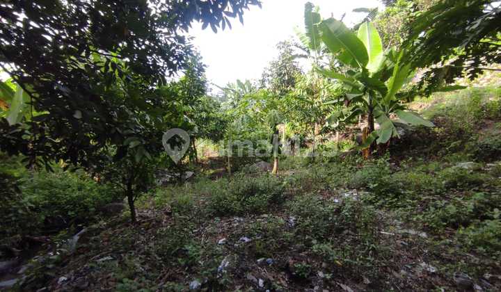 Tanah Murah di Daerah Purwosari, Pasuruan