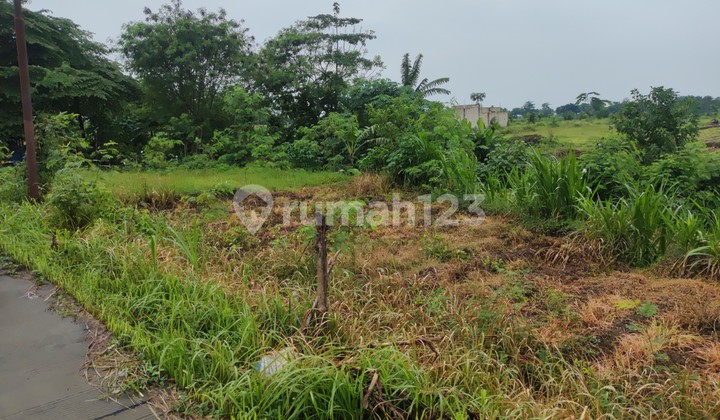 Tanah Murah di Daerah Dlanggu, Mojokerto