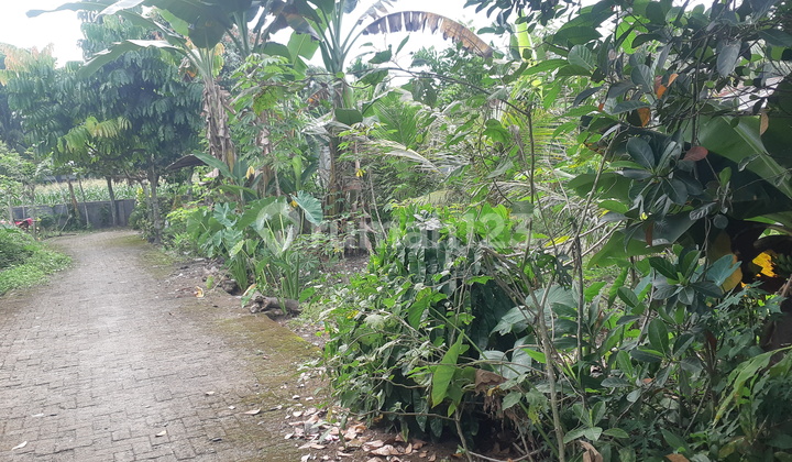 Tanah Murah di Daerah Kutalimbaru, Deli Serdang