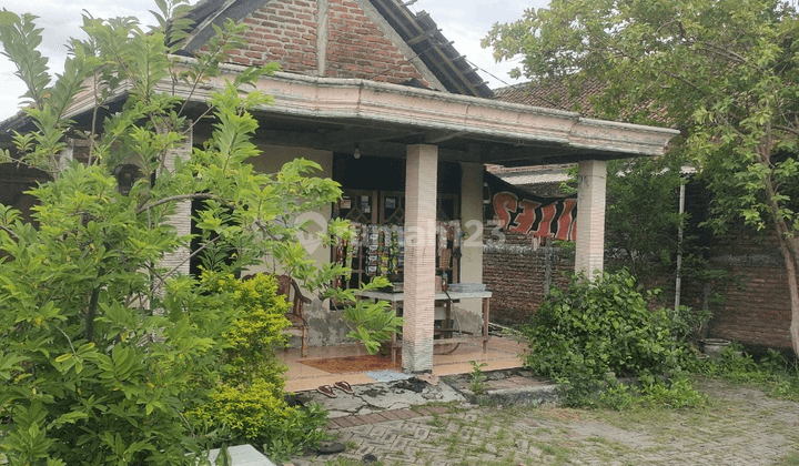 Rumah Murah di Daerah Balongpanggang, Gresik