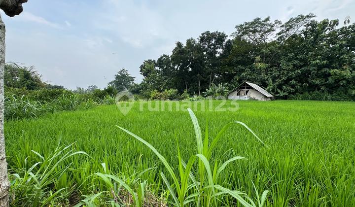 Tanah Murah di Daerah Purwosari, Gunung Kidul
