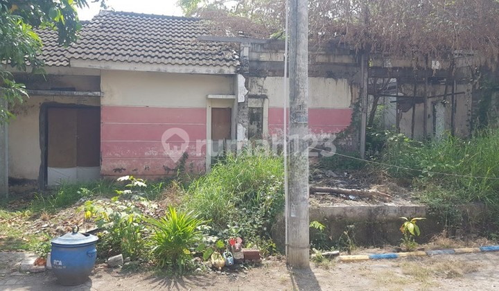 Cheap House in Cerme Area, Gresik Cheap House in Cerme Area, Gresik