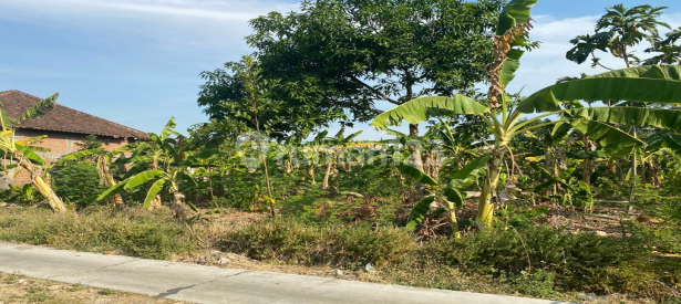 Tanah Murah di Daerah Grobogan, Grobogan