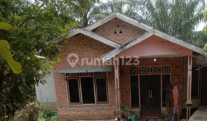 Rumah Murah di Daerah Bonai Darussalam 1