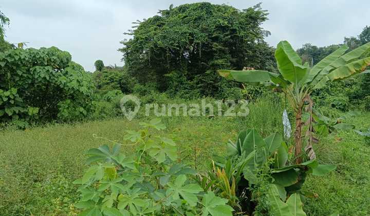 Tanah Murah di Daerah Talang Kelapa, Banyuasin