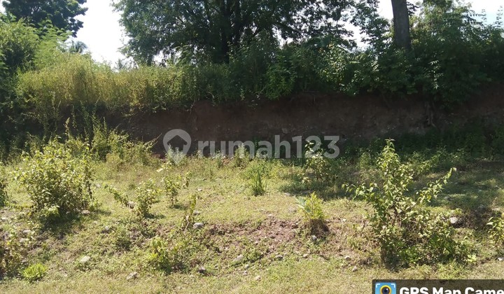 Tanah Murah di Daerah Gerokgak, Buleleng