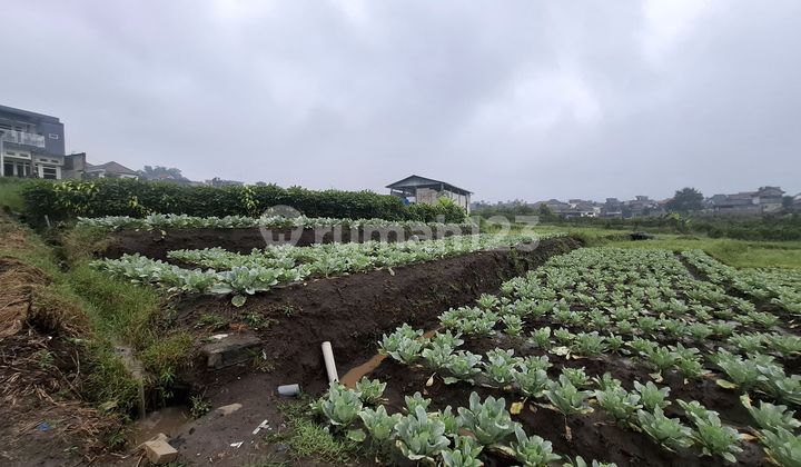 Tanah Murah di Daerah Junrejo, Batu