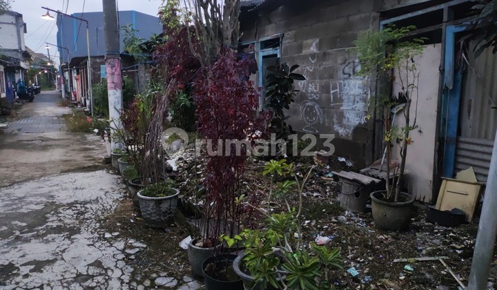 Rumah Murah di Daerah Driyorejo, Gresik 2