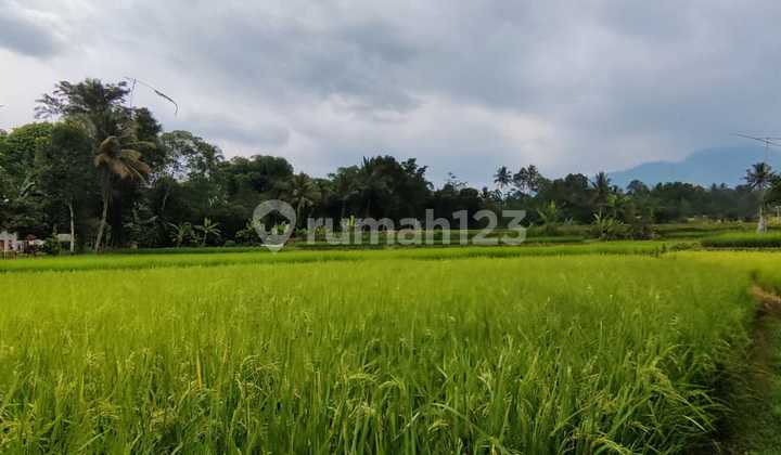 Affordable Land in Cidahu Area, Sukabumi
