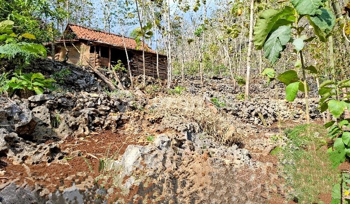 Tanah Murah di Daerah Tepus, Gunung Kidul
