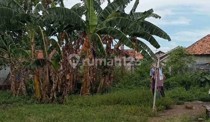 Tanah Murah di Daerah Jayakerta, Karawang