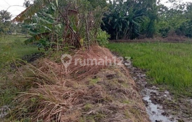 Tanah Murah di Daerah Bugulkidul, Pasuruan