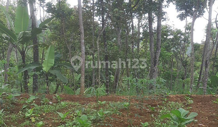 Tanah Murah di Daerah Ampel, Boyolali