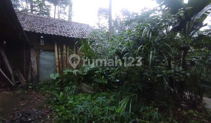 Tanah Murah di Daerah Purwodadi, Pasuruan