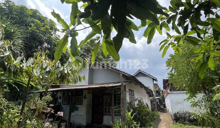 Rumah Murah di Daerah Puger, Jember