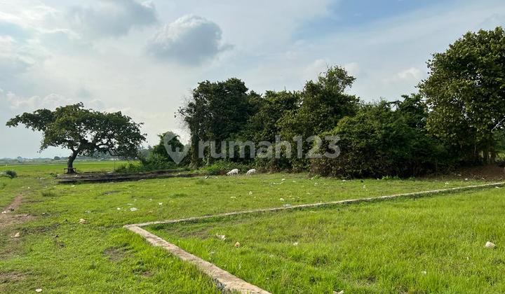 Tanah Murah di Daerah Rajeg, Tangerang