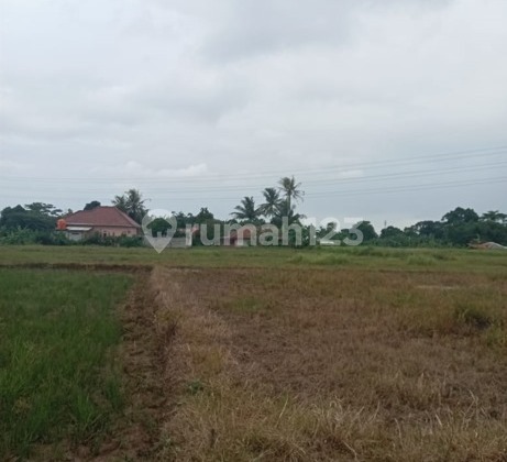 Tanah Murah di Daerah Tigaraksa, Tangerang