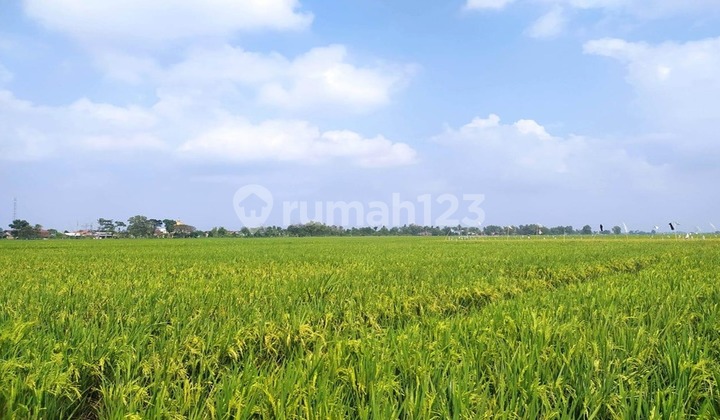 Tanah Murah di Daerah Metro Barat, Metro