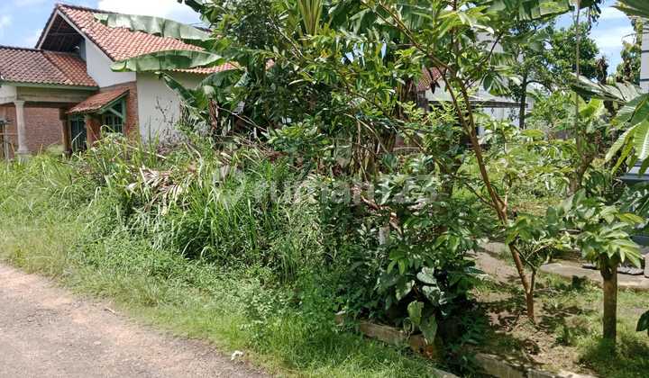 Tanah Murah di Daerah Metro Pusat, Metro