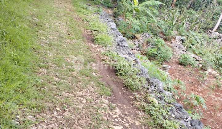 Tanah Murah di Daerah Panggang, Gunung Kidul