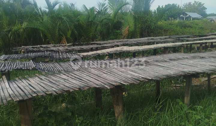 Tanah Murah di Daerah Pantai Labu, Deli Serdang