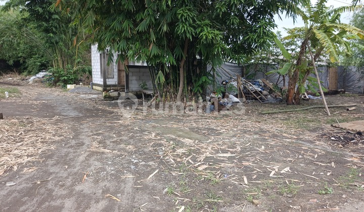 Tanah Murah di Daerah Prambon, Sidoarjo