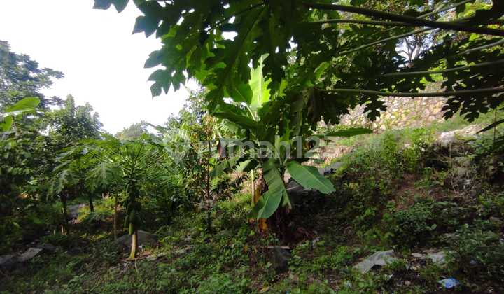 Tanah Murah di Daerah Purwosari, Pasuruan