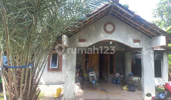 Rumah Murah di Daerah Tanggungharjo, Grobogan