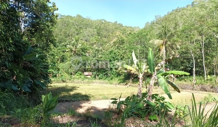 Tanah Murah di Daerah Purwosari, Gunung Kidul