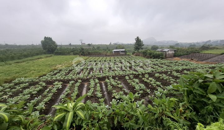 Tanah Murah di Daerah Junrejo, Batu