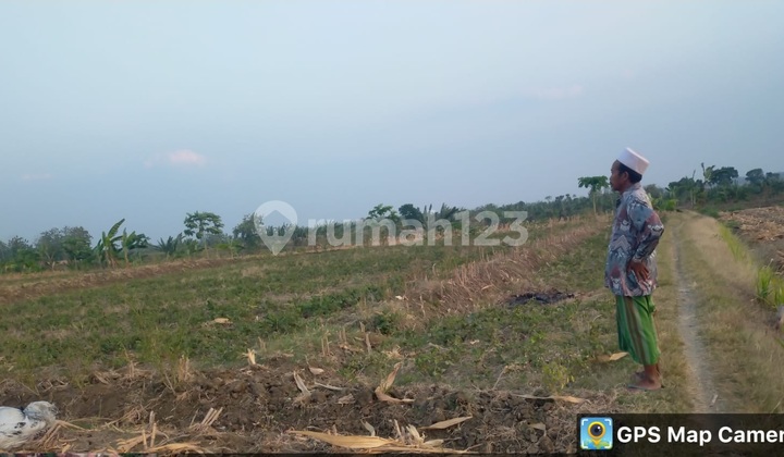 Tanah Murah di Daerah Grobogan, Grobogan