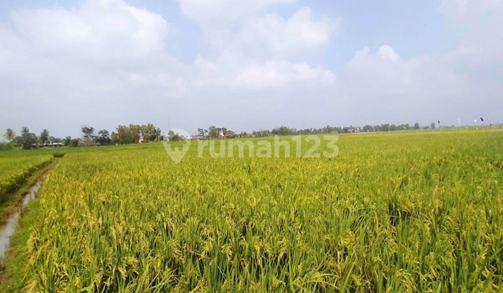 Tanah Murah di Daerah Metro Barat, Metro