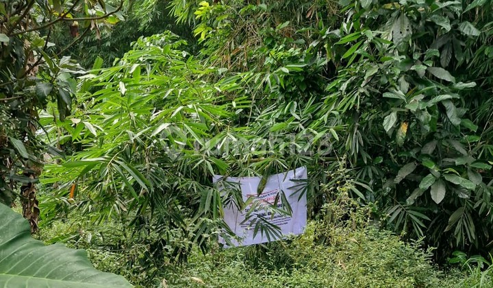 Cheap Land in Getasan Area, Semarang 1