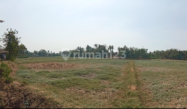 Cheap Land in Kresek Area, Tangerang