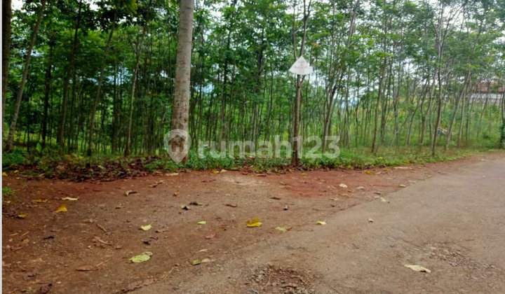 Tanah Murah di Daerah Pacet, Bandung