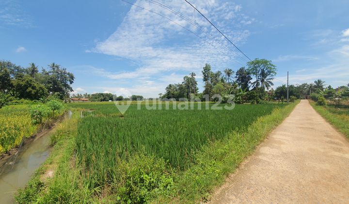 Tanah Murah di Daerah Natar, Lampung Selatan