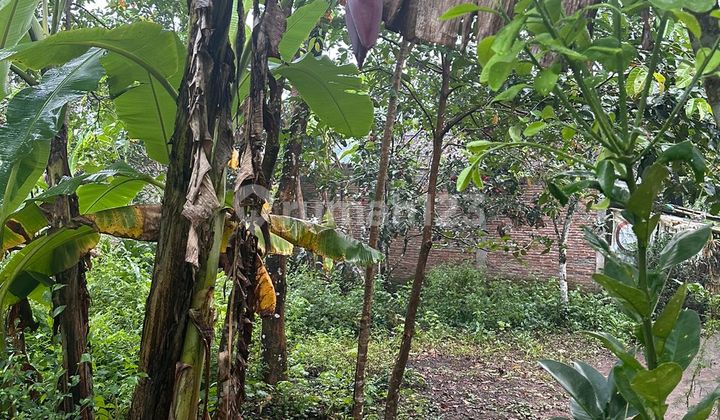 Tanah Murah di Daerah Mertoyudan, Magelang